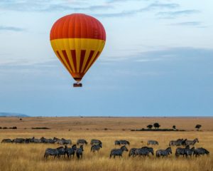 red and yellow hot air balloon over field with zebras